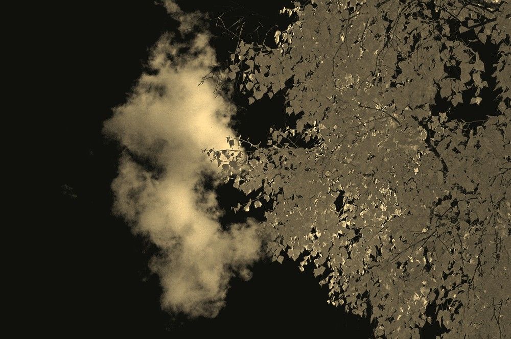 Явление страдающего.