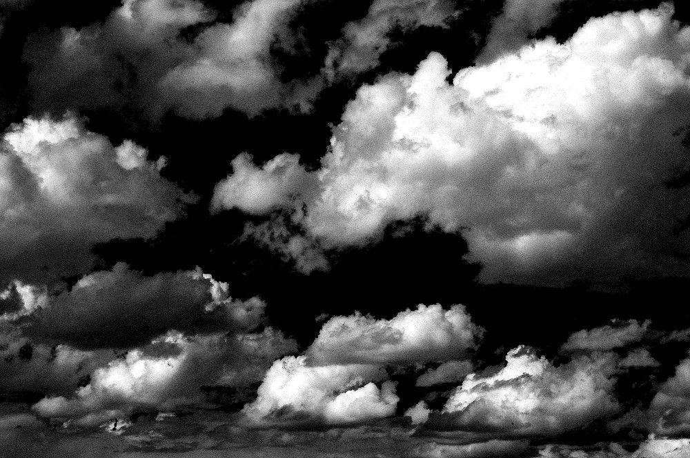 Небесный зверинец.