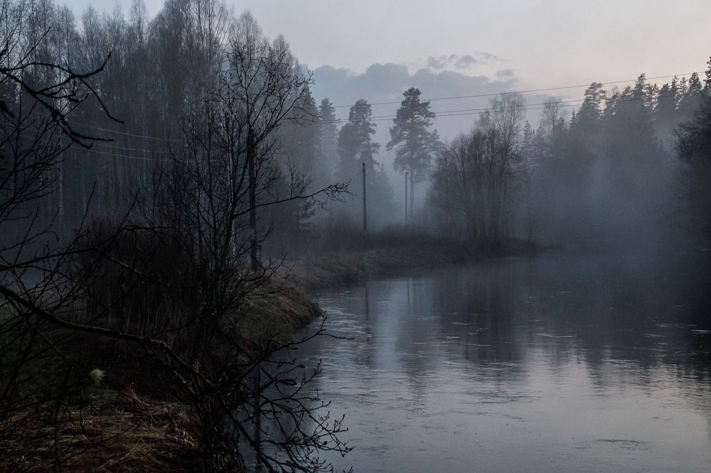 Photograph by Инна Юдина