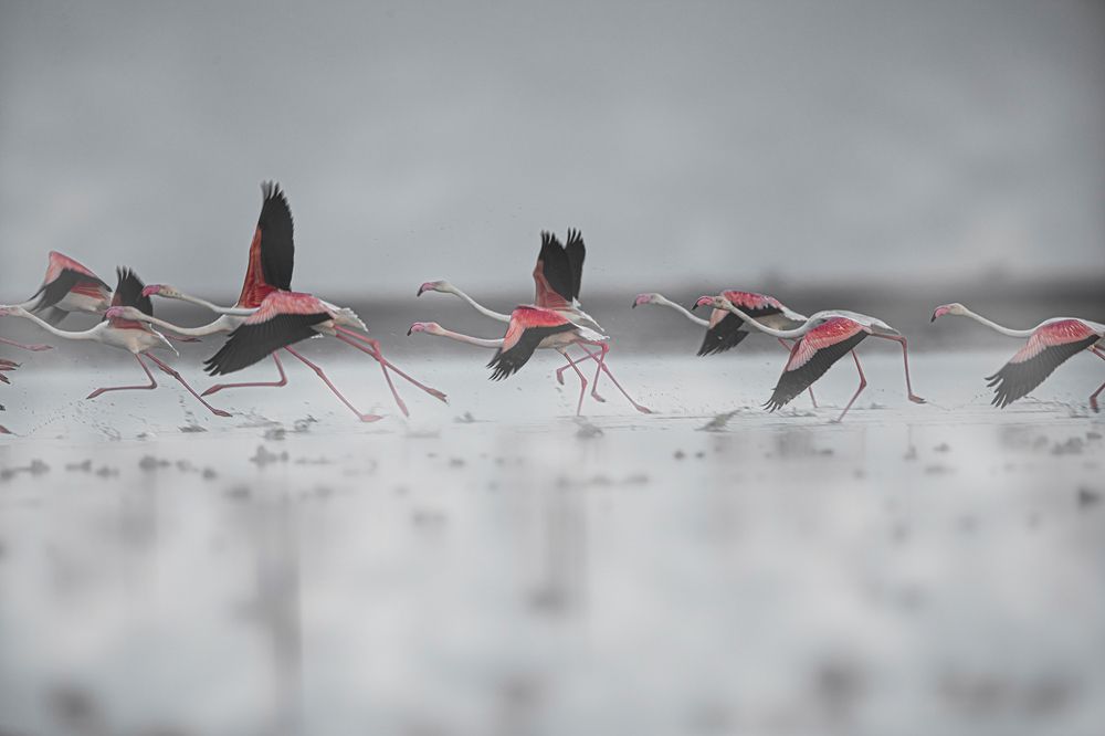 Фотография автора Sudipta Chakraborty