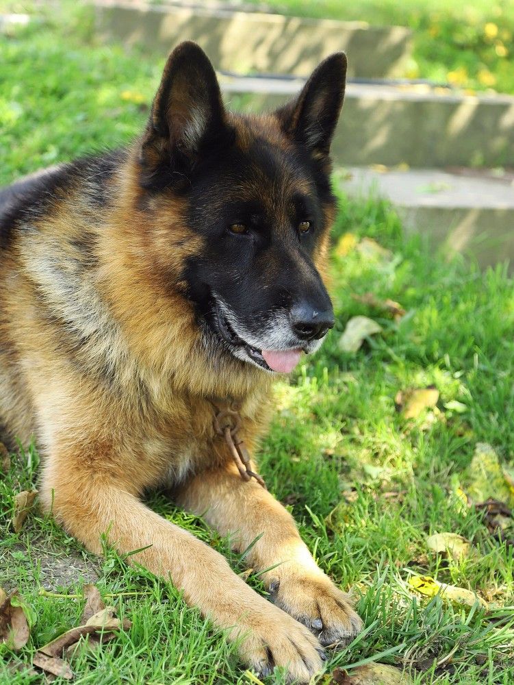 Photograph by Андрей Телибаев