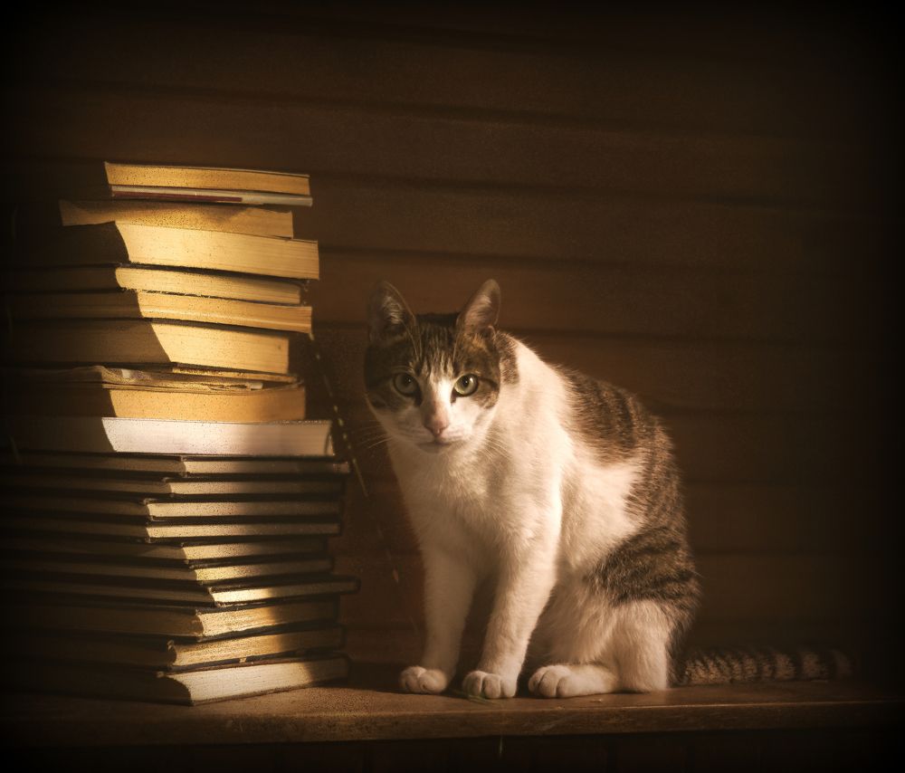 Фотография автора LORNA AGUIRRE