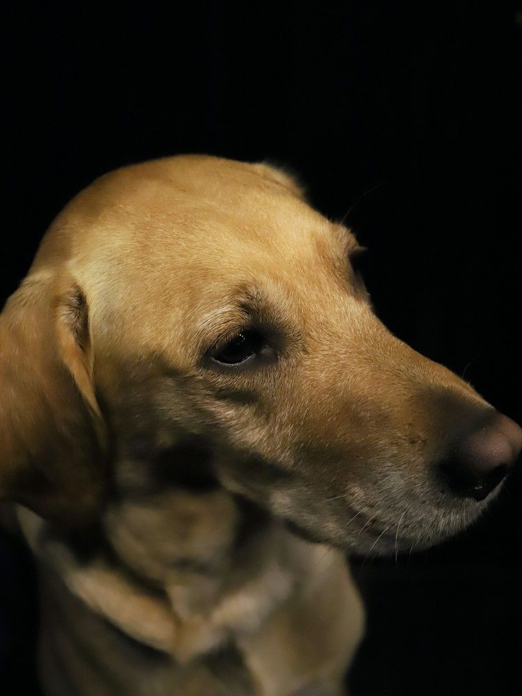 Photograph by Андрей Телибаев