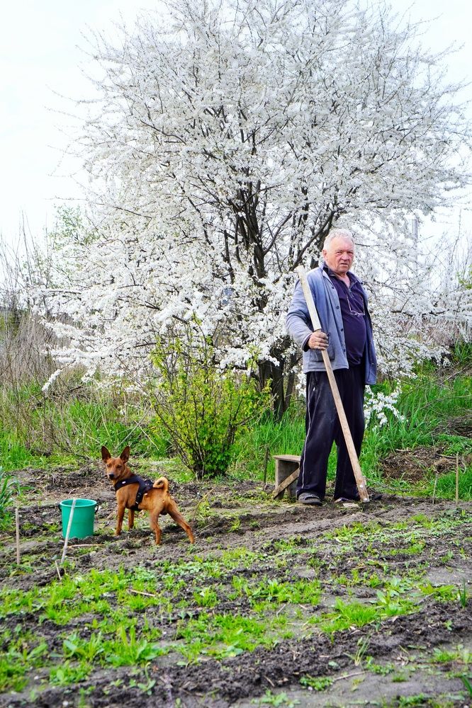 Photograph by Игорь Маслов