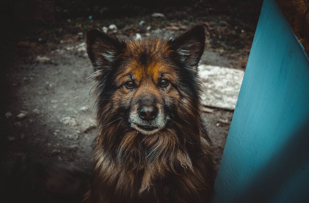 Photograph by Ирина Лотоцкая