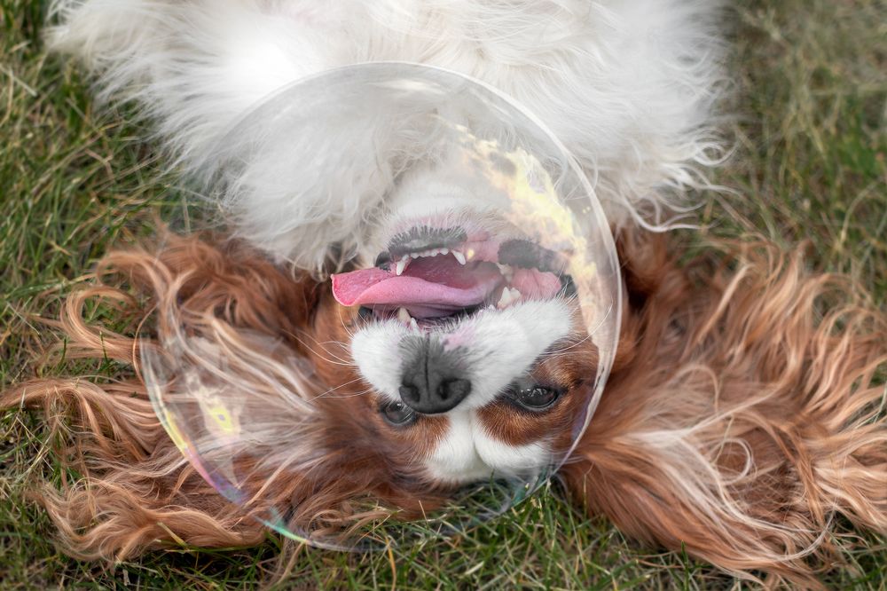 Photograph by Katerina Kutova