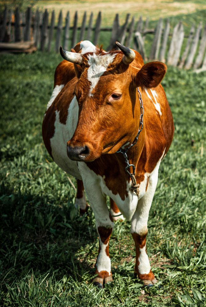 Фотография автора Наталья