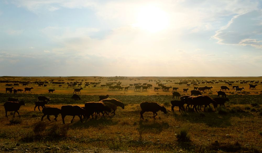 Photograph by Дарья Низовкина