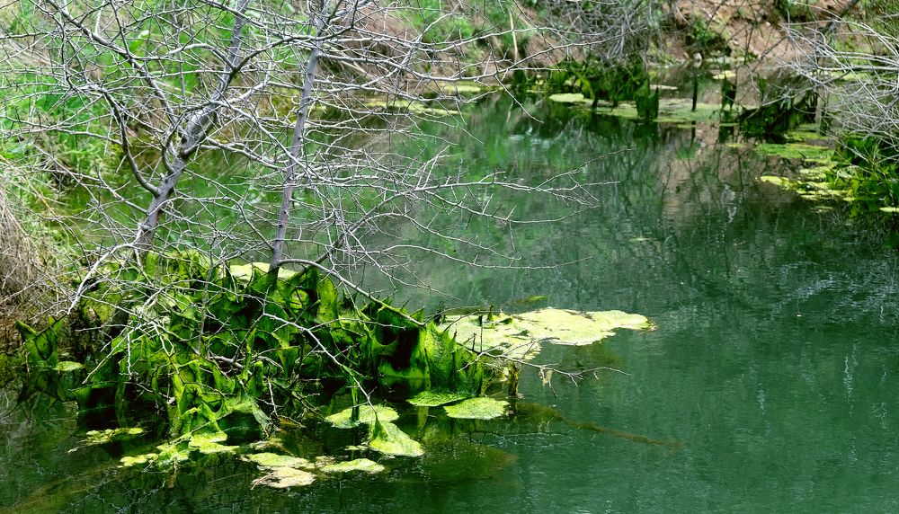 Green green green green.