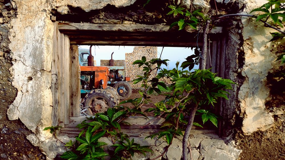 Photograph by Дарья Низовкина