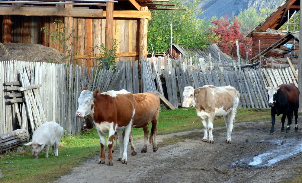 Photograph by Pjotr Alekseev