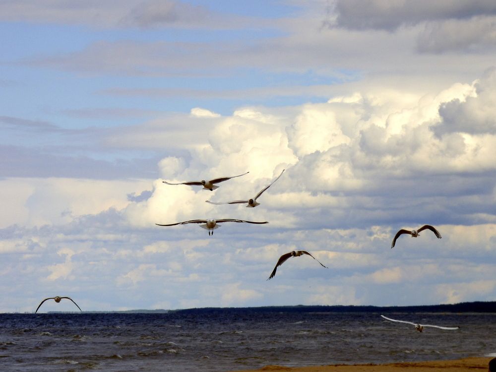 Photograph by Pjotr Alekseev