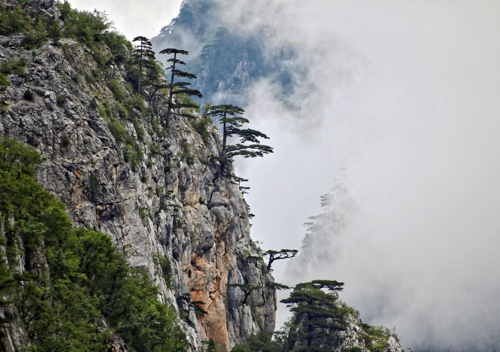Облака в горах Черногории.