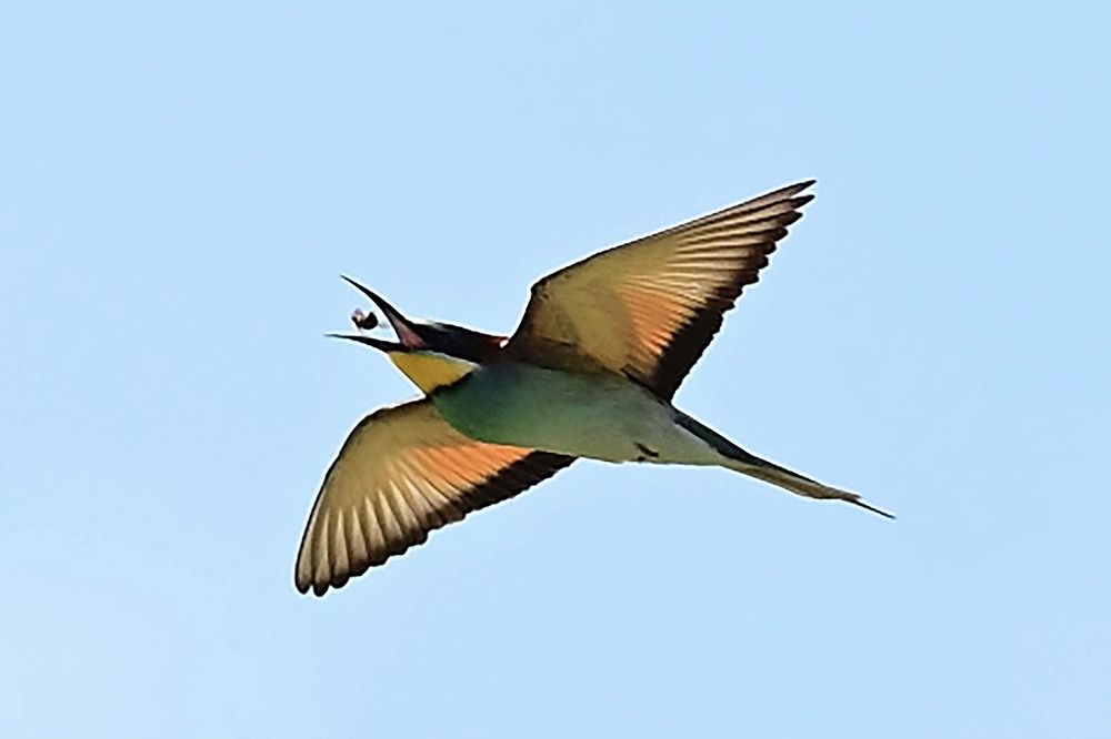 Photograph by advokatkijashko