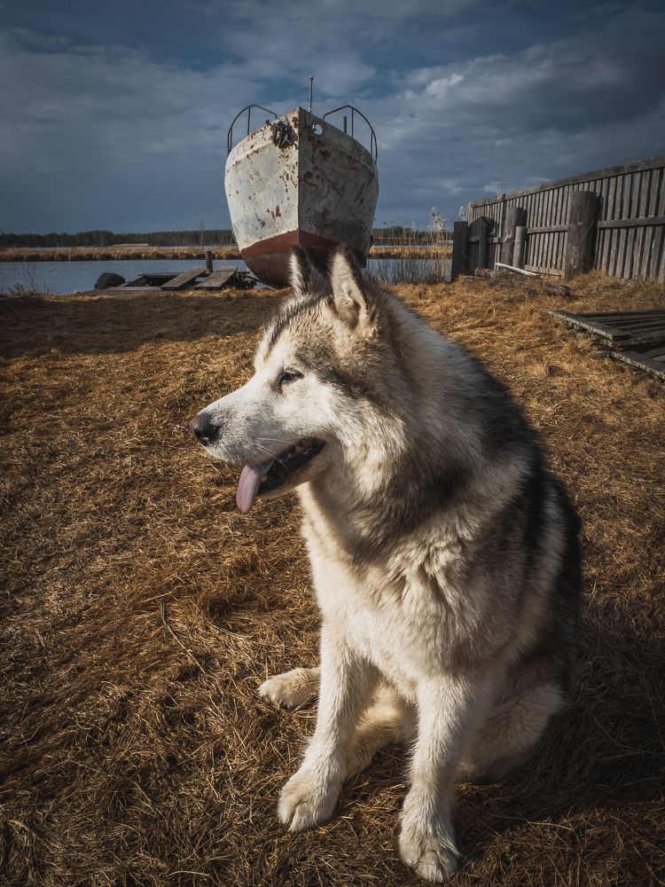 Photograph by Александр Устинов