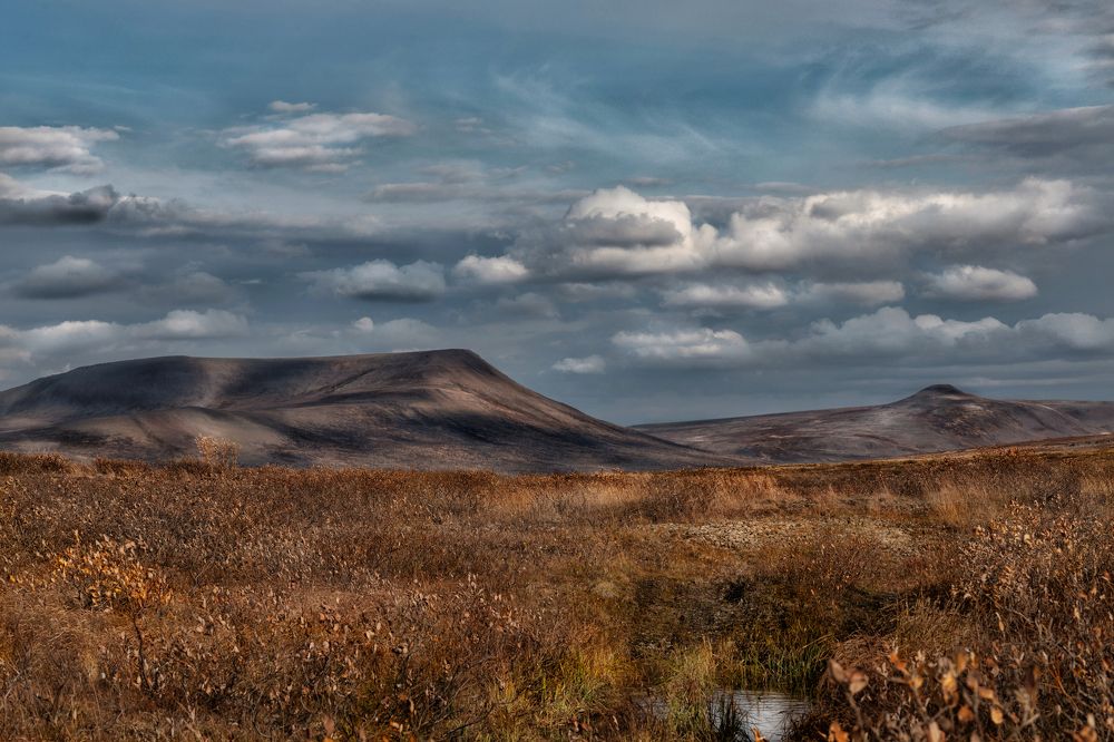 Photograph by Ирина Ульянова