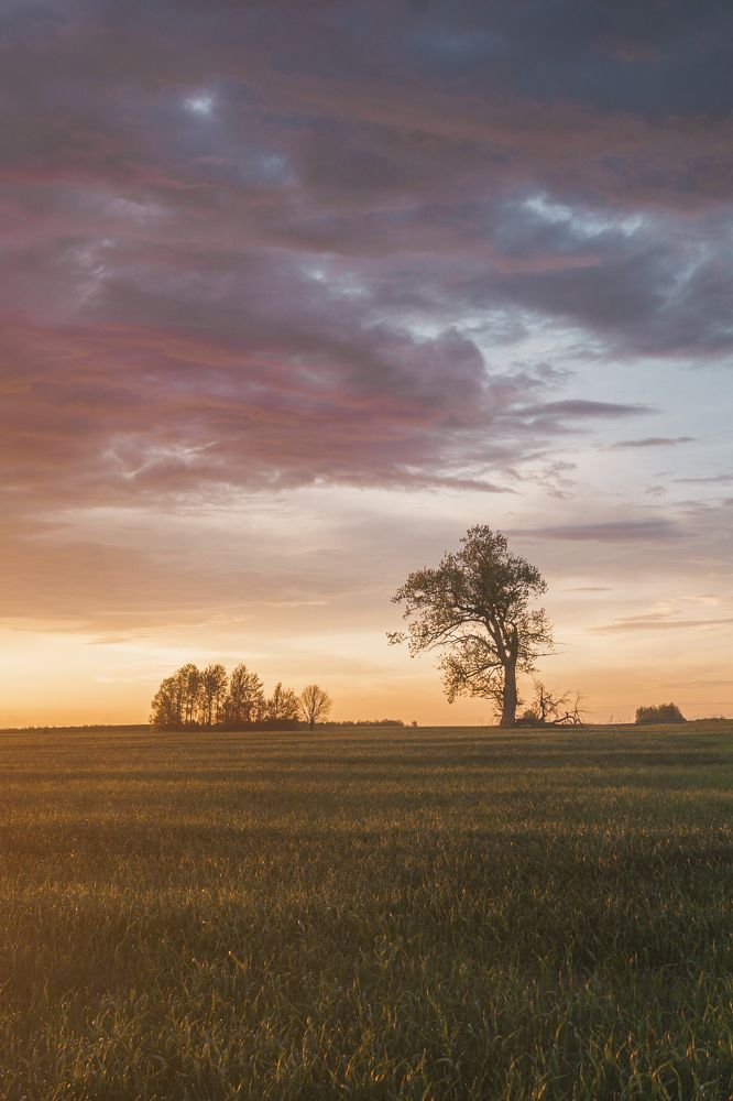 Photograph by Aliaksei Shandalin