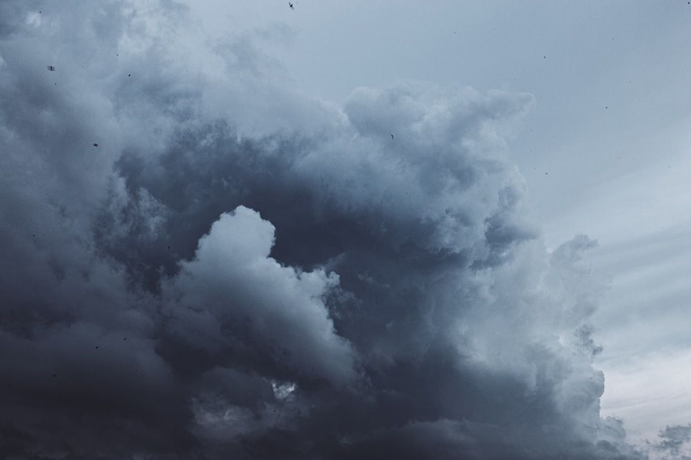 Photograph by Дмитрий Стадницкий