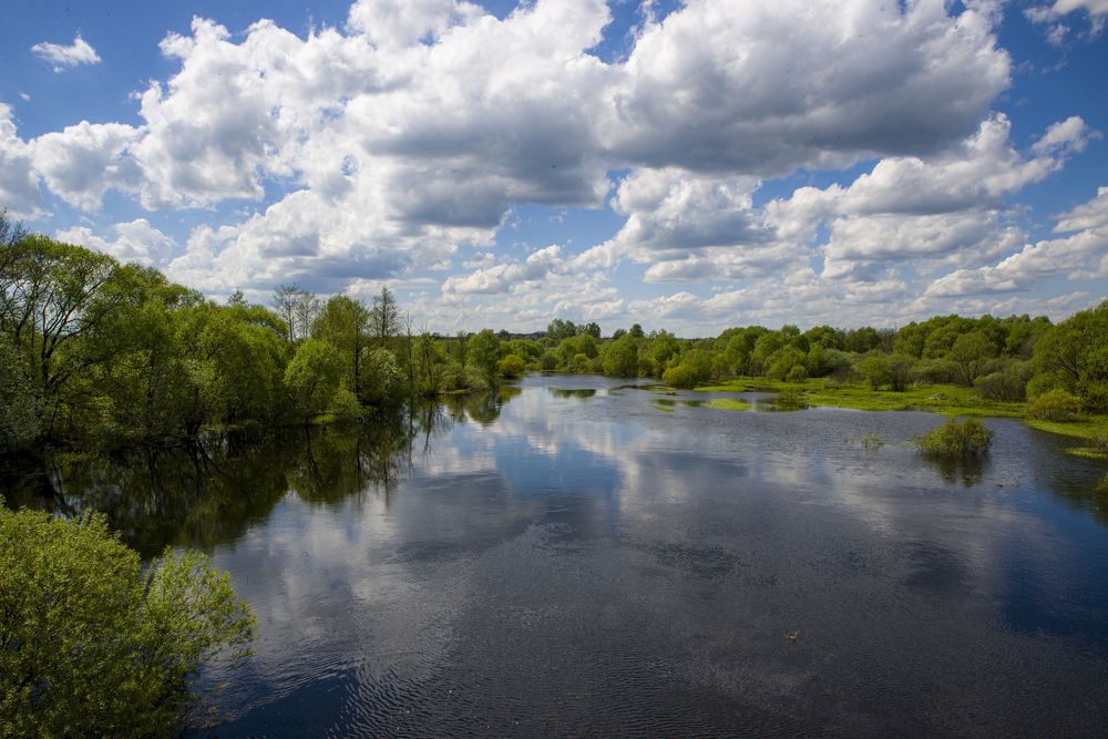 Photograph by Roman Adler