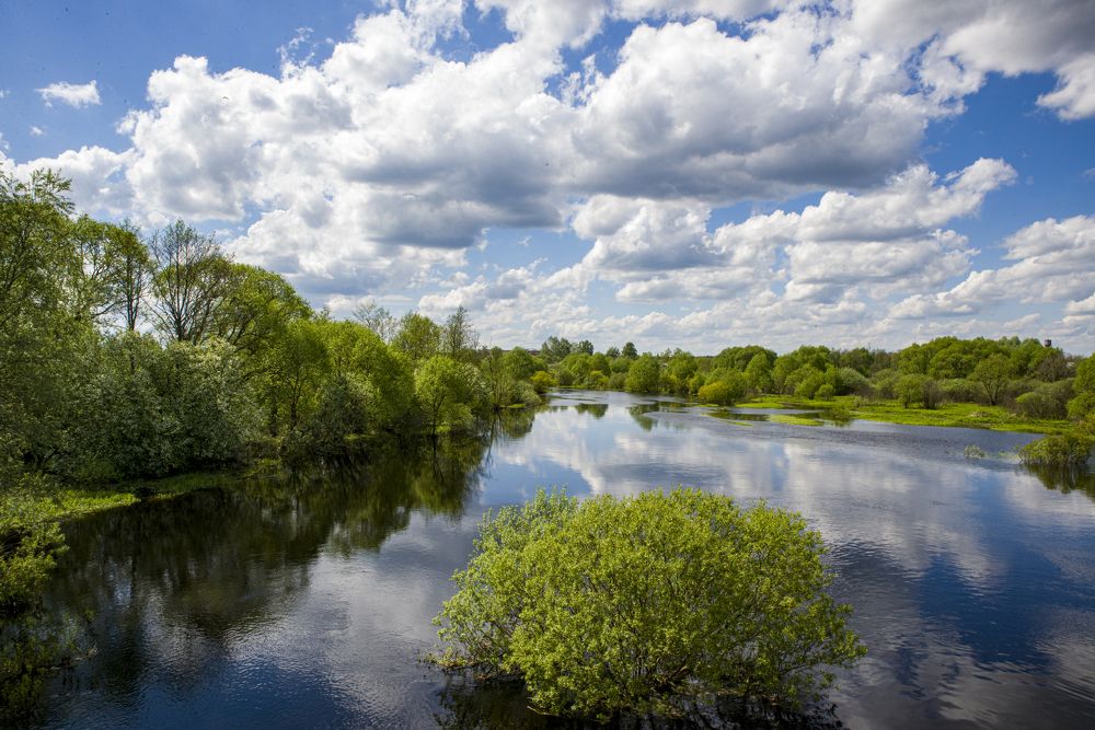 Photograph by Roman Adler