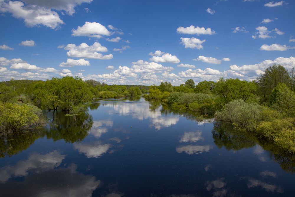 Photograph by Roman Adler