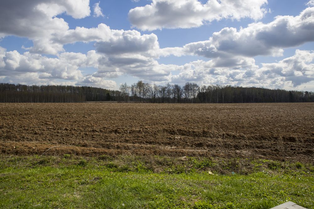 Photograph by Roman Adler