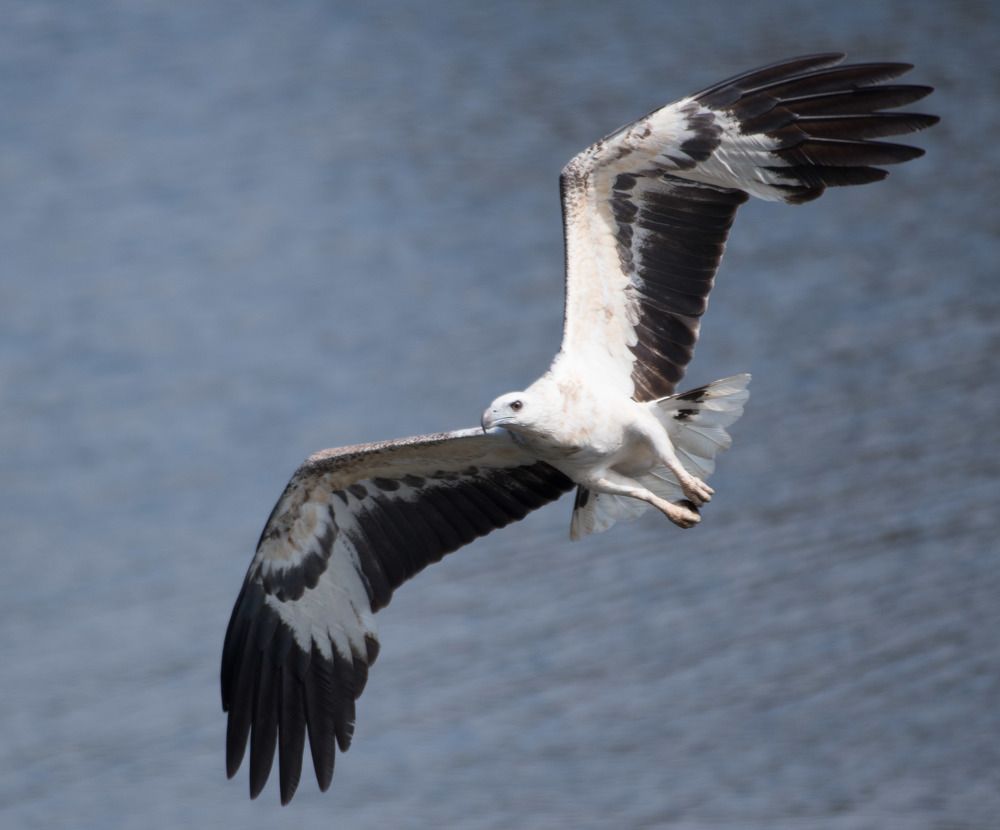 Photograph by Mahesh Yavagal