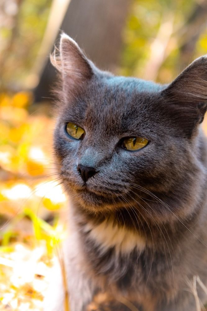 Photograph by Широкова Евгения