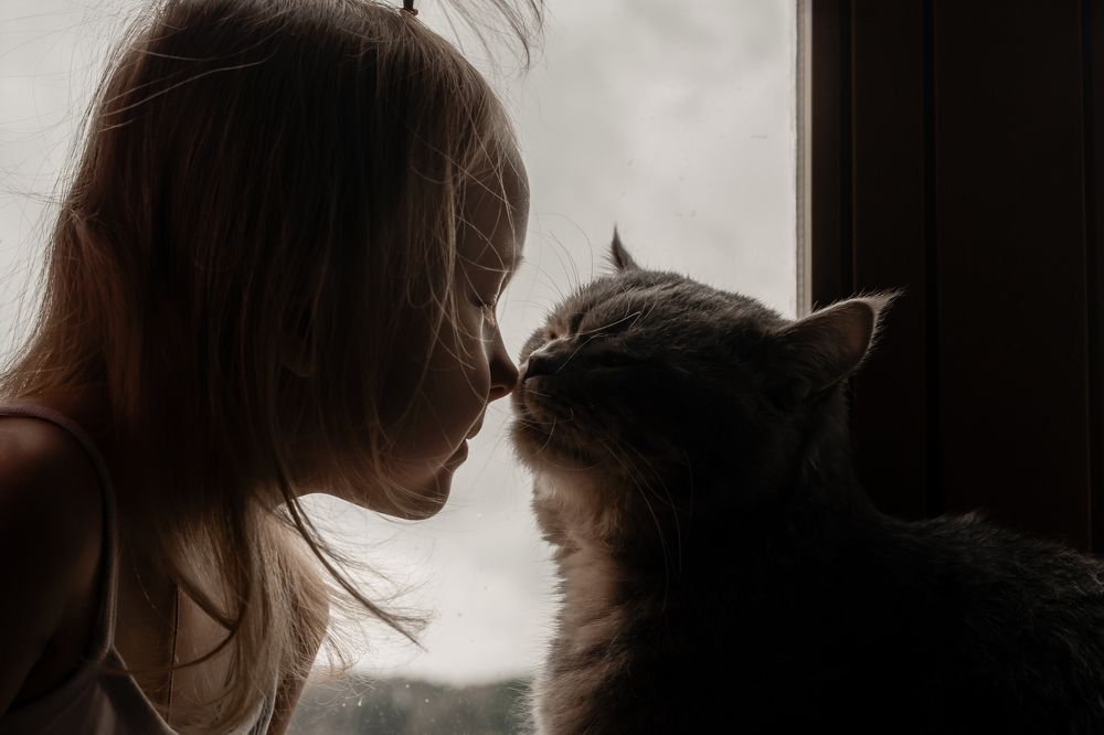 Photograph by Екатерина