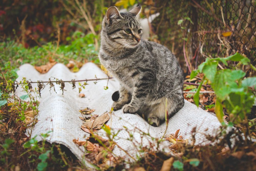 Photograph by Широкова Евгения