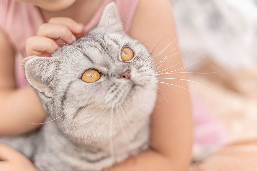 Photograph by Екатерина