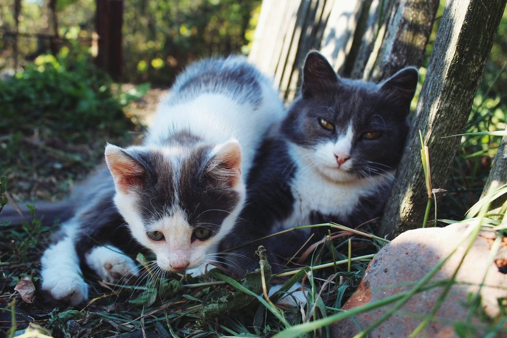 Photograph by Широкова Евгения