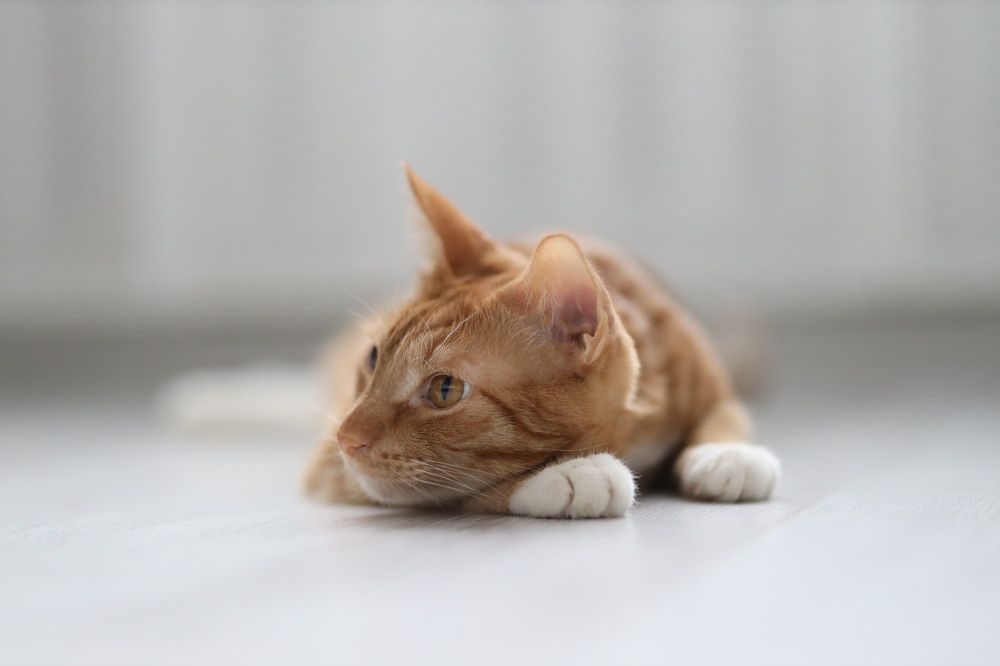 Photograph by Максим Романов