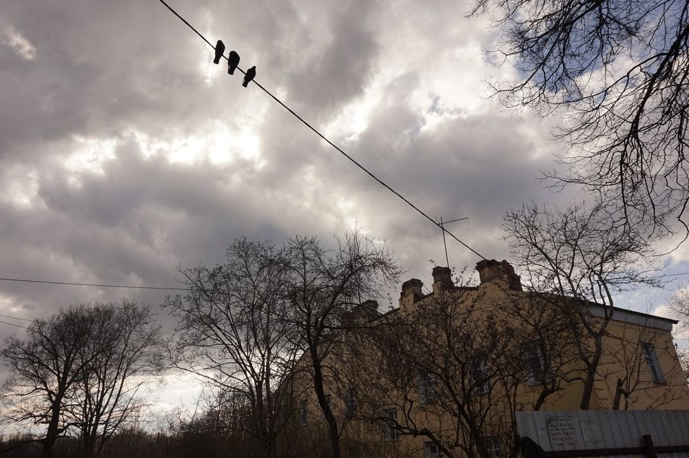 Photograph by Юлия Ганюшина