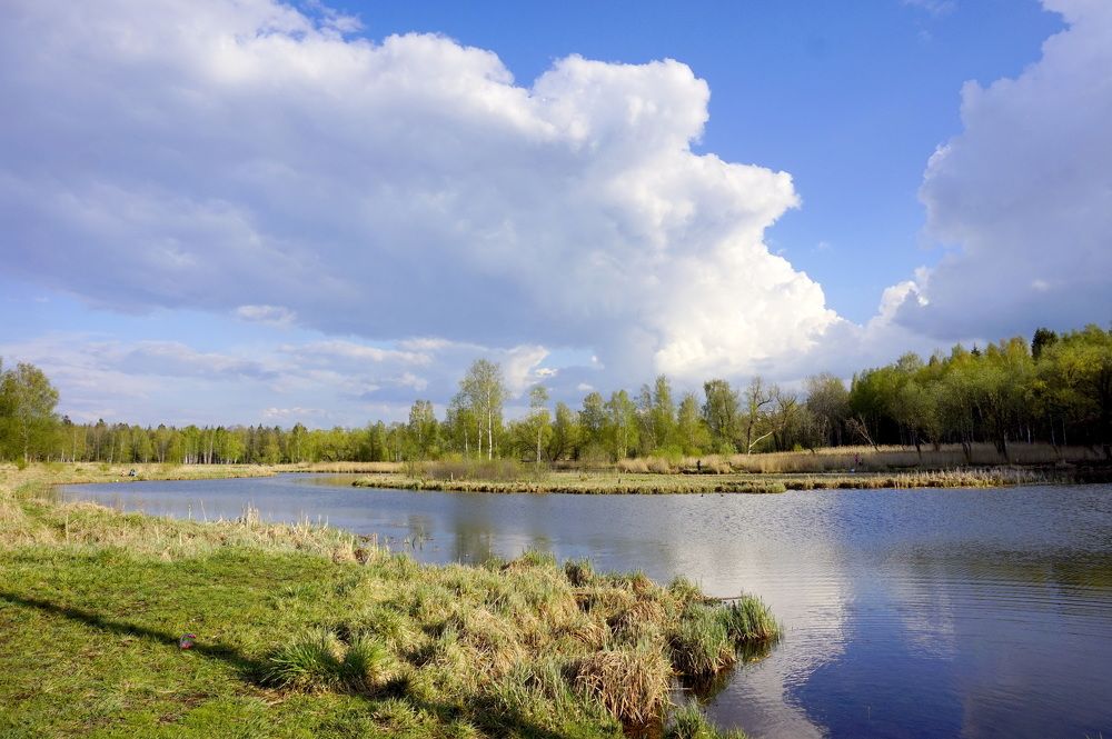 Photograph by Юлия Ганюшина