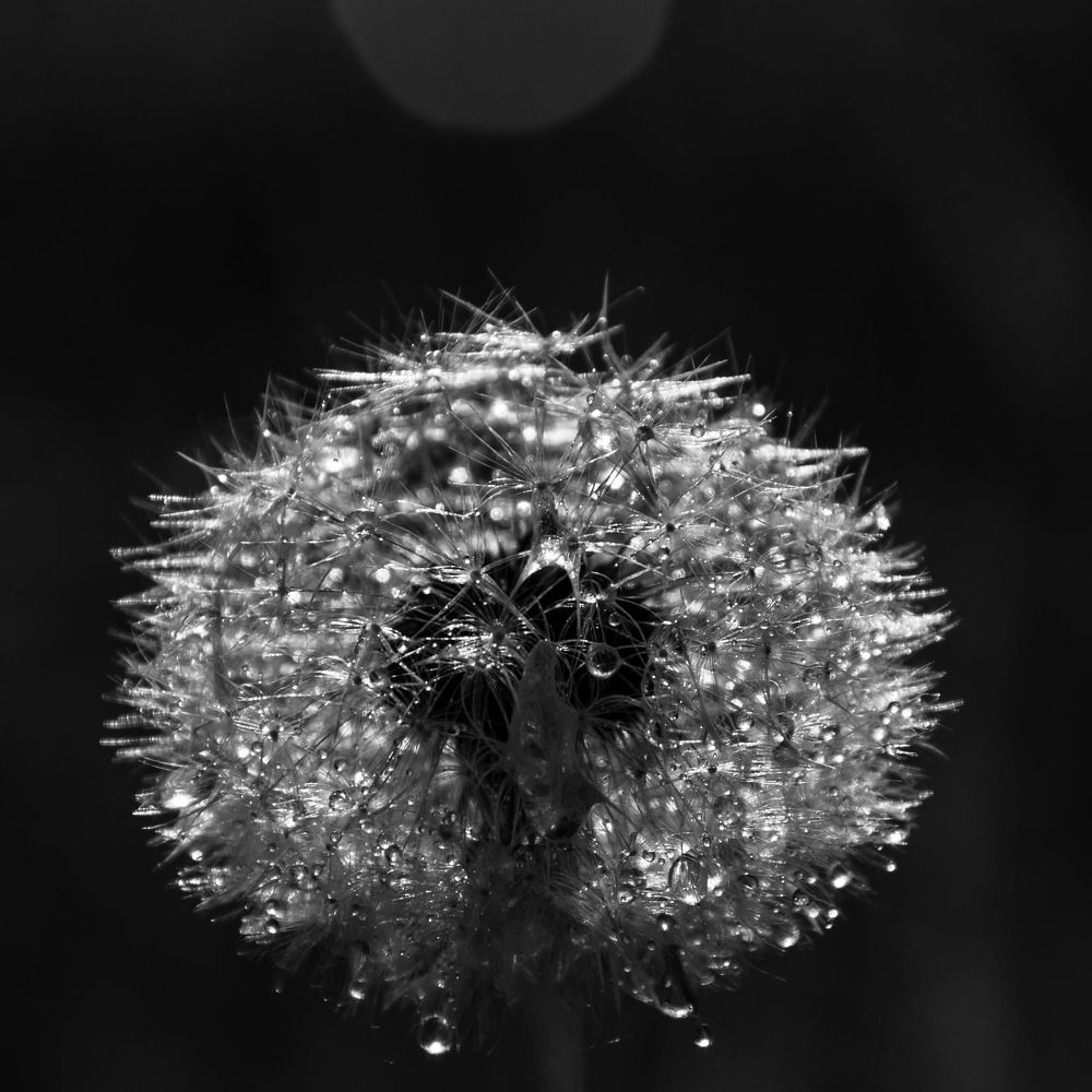 Photograph by Алексей Крукович