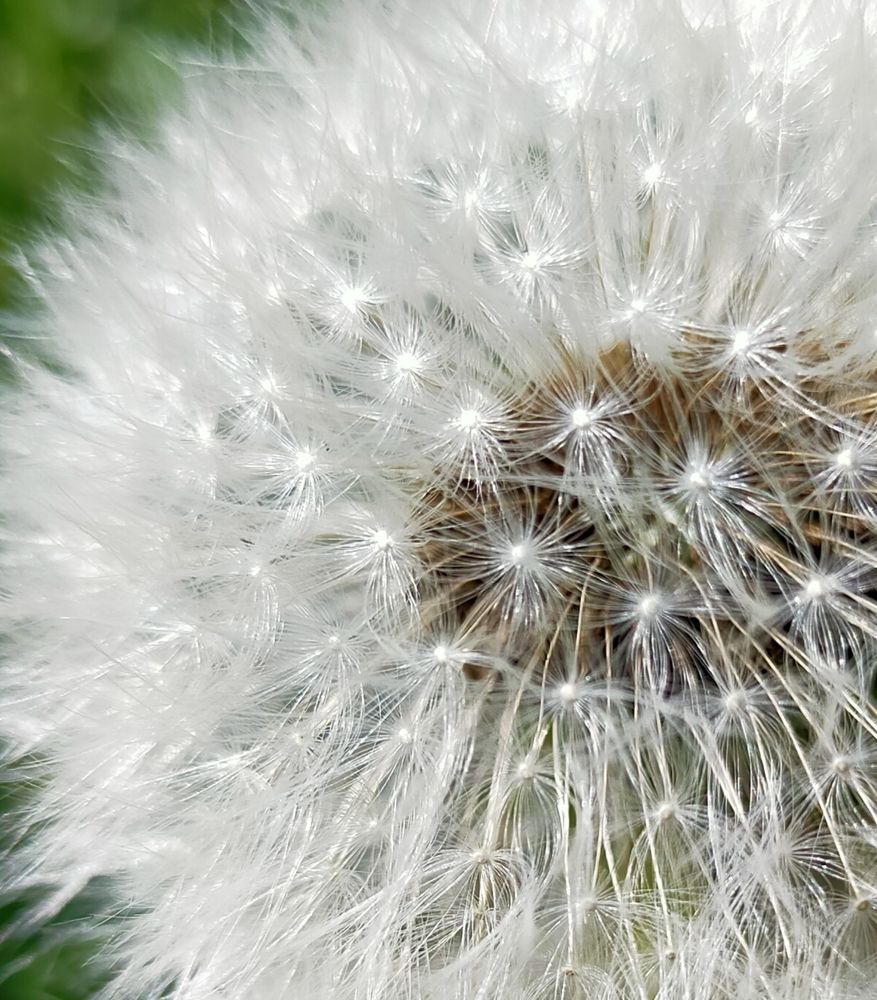 Photograph by Оксана Макарова