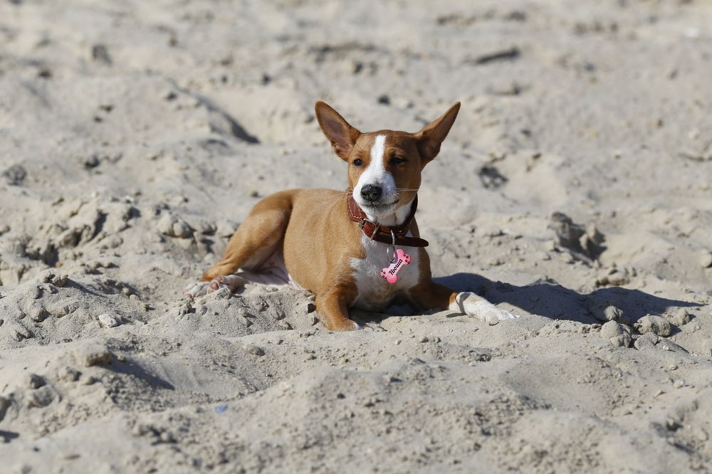 Photograph by Елена Буканина