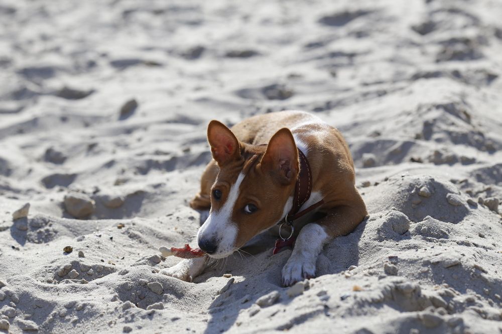 Photograph by Елена Буканина