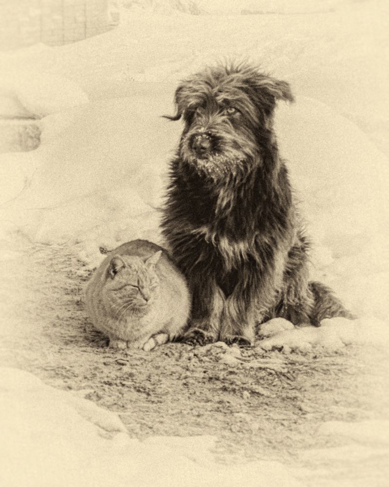 Photograph by Александр Белянский