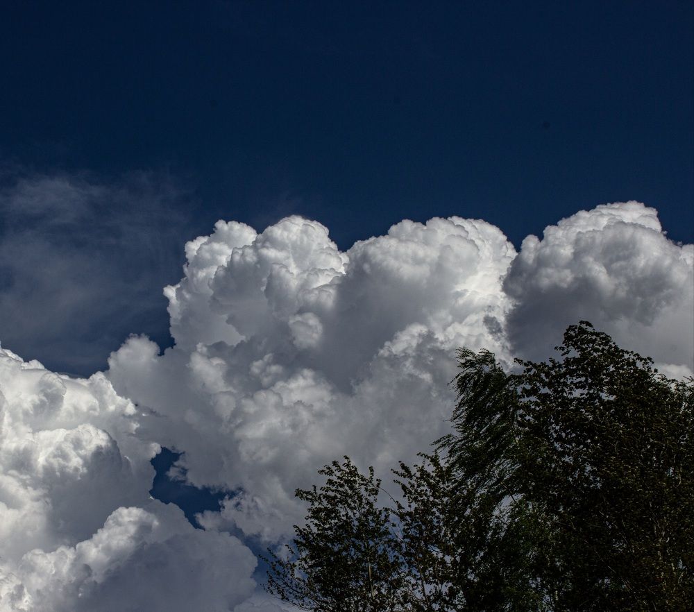 Photograph by Валентина Тагильцева