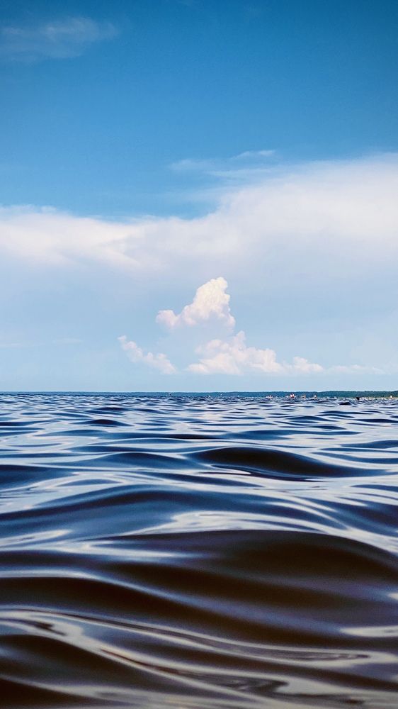 Photograph by Dmytro