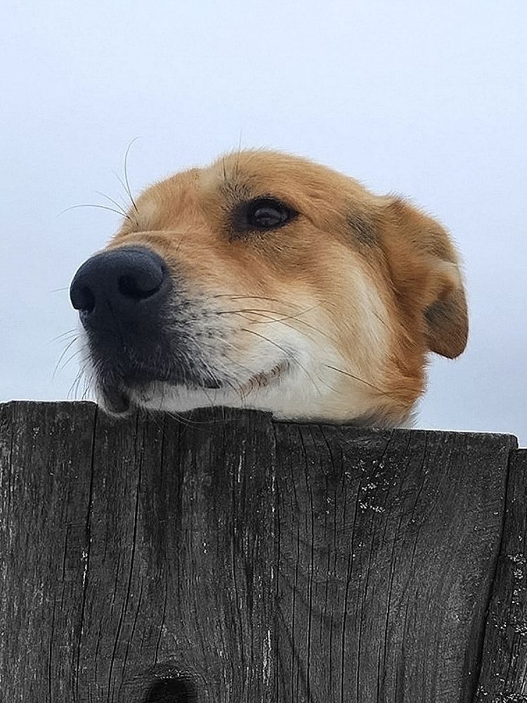 Жизнь за рамками...