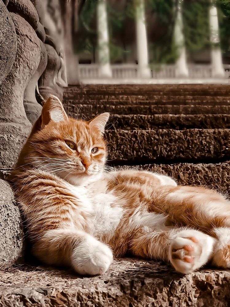 Хозяин жизни!