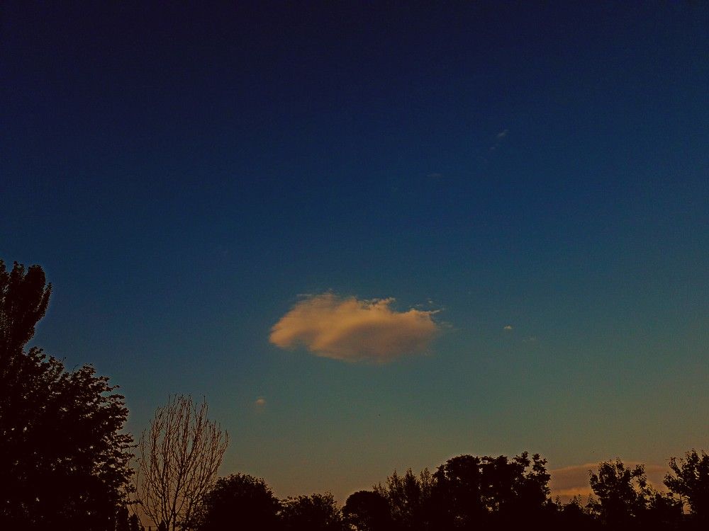 Photograph by Барно Ортикбаева