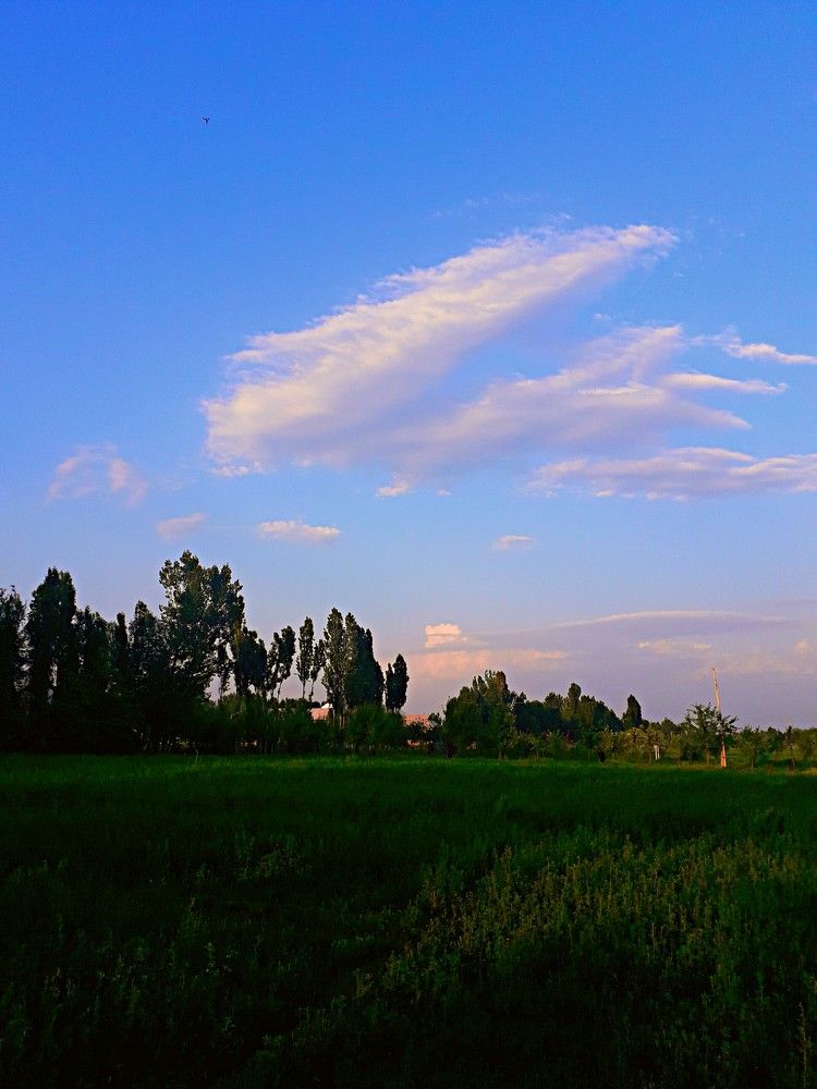 Photograph by Барно Ортикбаева