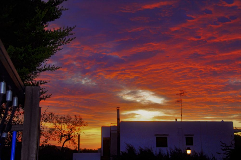 Photograph by Olinda Garcia Favre