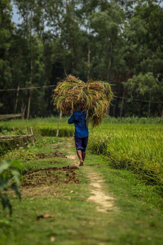 Photograph by Sumon Ghosh