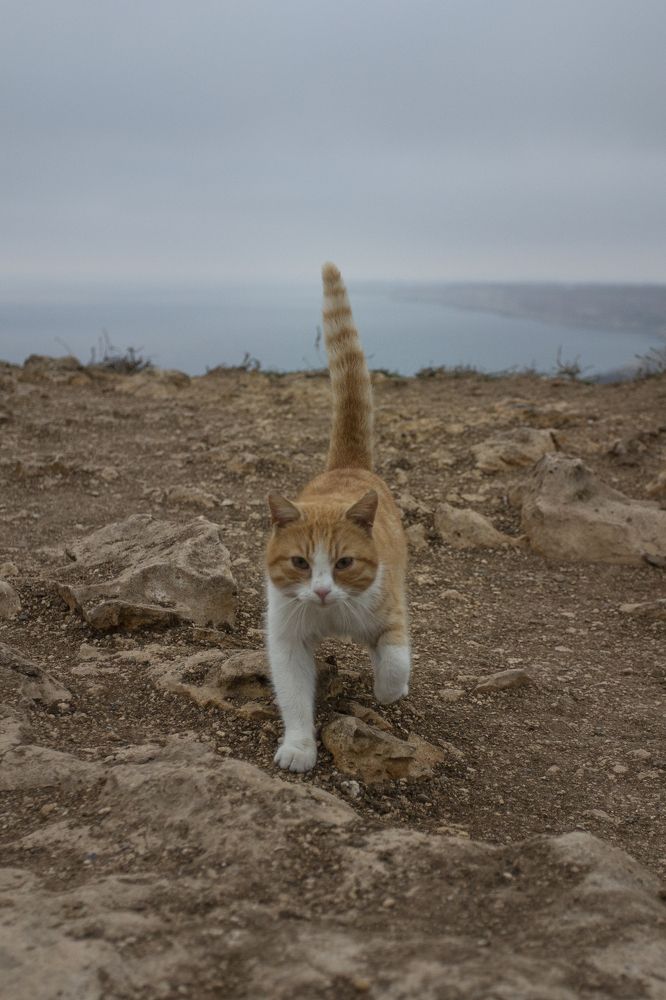 Photograph by Vladimir Soroka