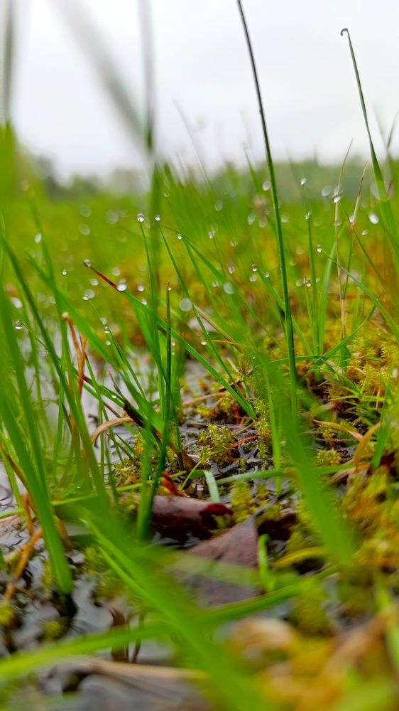 Photograph by Эрика